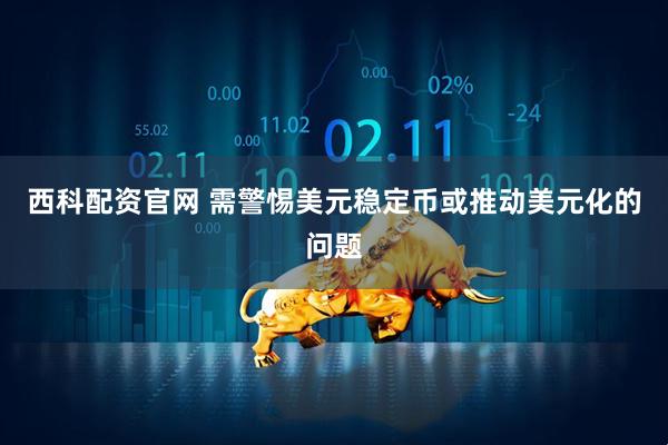 西科配资官网 需警惕美元稳定币或推动美元化的问题