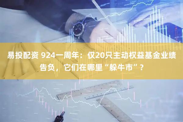 易投配资 924一周年：仅20只主动权益基金业绩告负，它们在哪里“躲牛市”？