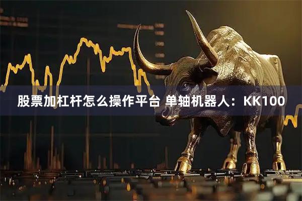 股票加杠杆怎么操作平台 单轴机器人：KK100