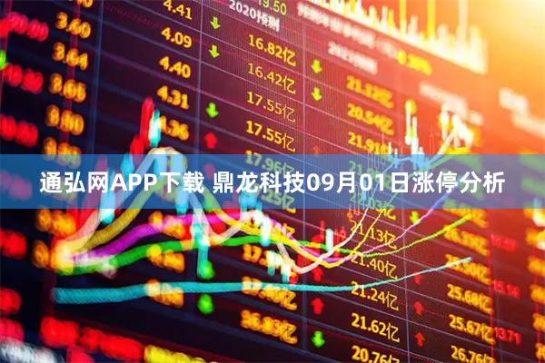 通弘网APP下载 鼎龙科技09月01日涨停分析